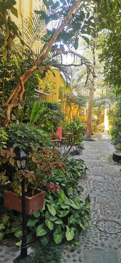 Hotel Rosa Morada Tlaquepaque Exteriör bild
